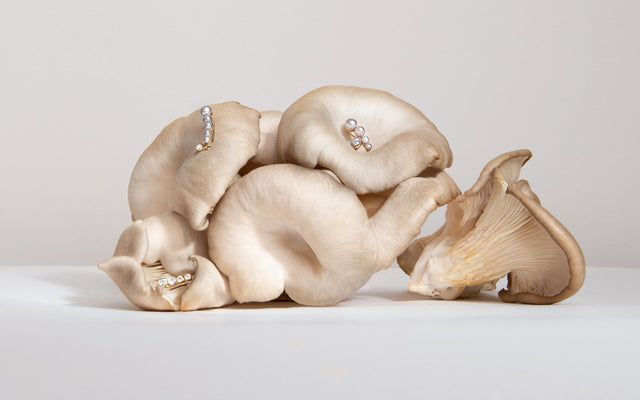 After every storm, there is a light